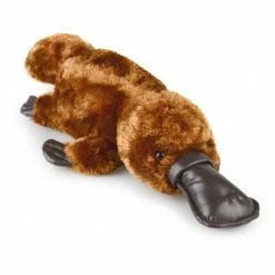 Promo ⌛ Korimco Plush Toy Animals Korimco - Silky Platypus - 37cm 😀