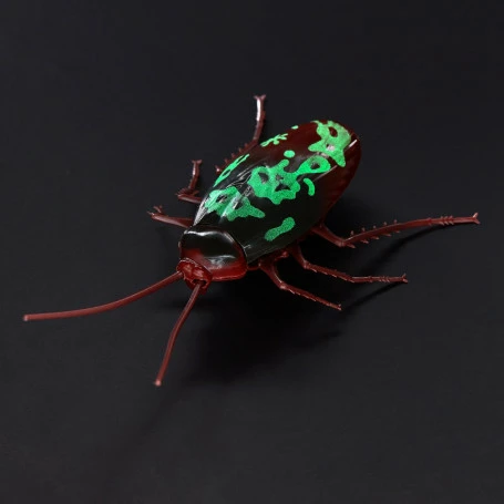 Best deal ๐ Zuru Robo Alive Glow In The Dark Crawling Cockroach โ๏ธ 5 Best deal ๐ Zuru Robo Alive Glow In The Dark Crawling Cockroach โ๏ธ - Image 3